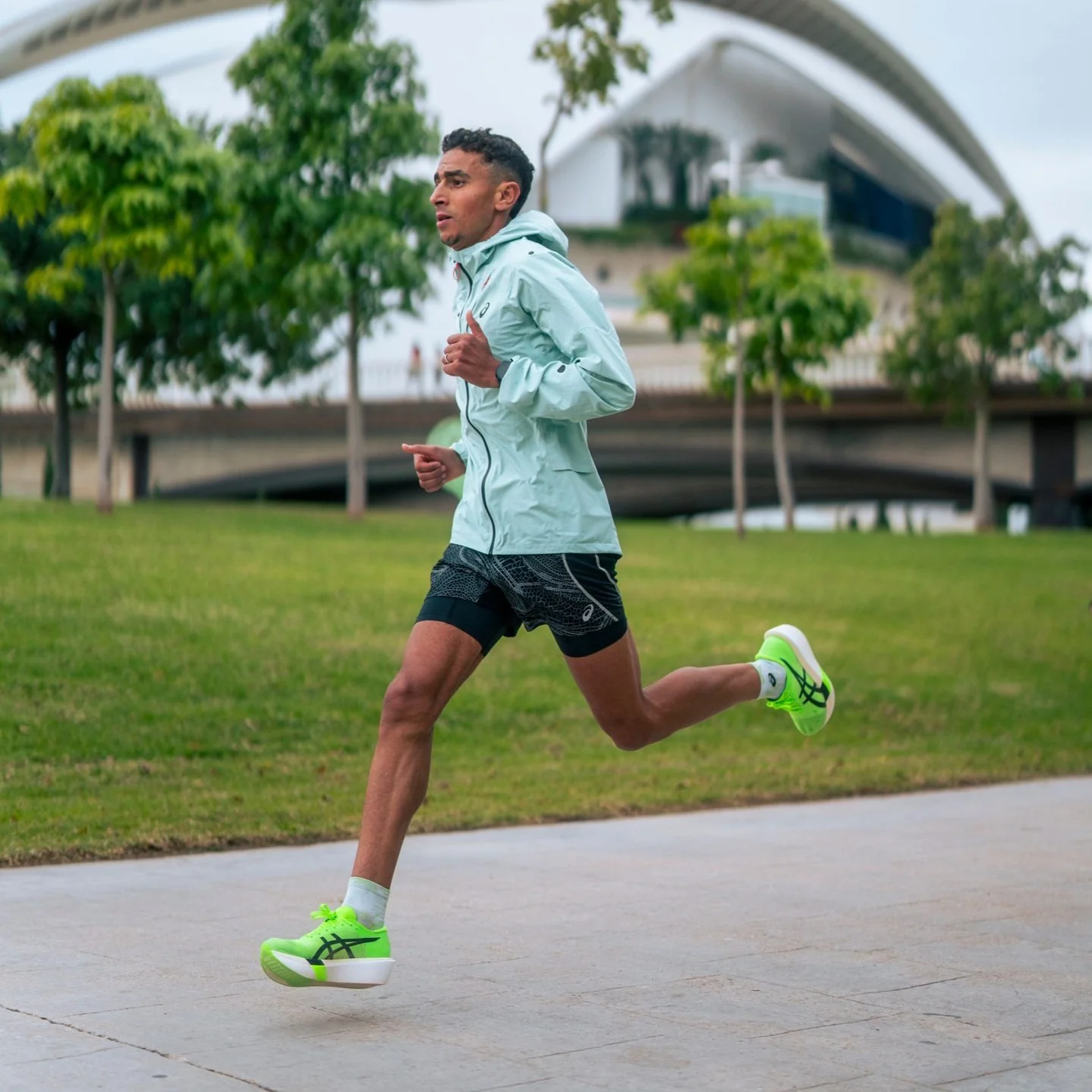 Asics Metaspeed Sky Tokyo | Green Gecko / Black | Unisex - Ekiden Sports