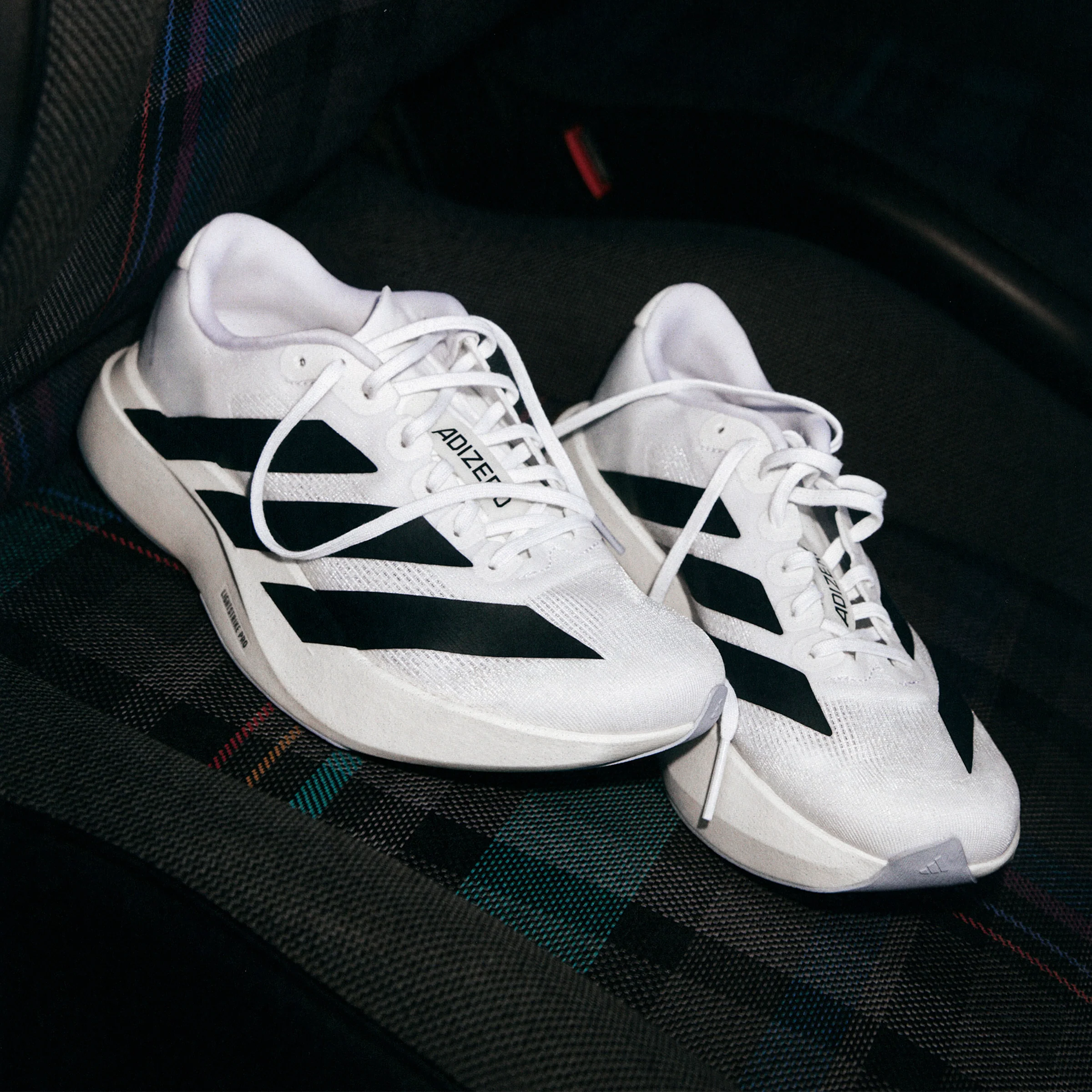 adidas Adizero Evo SL | Cloud White / Core Black | Womens - Ekiden Sports
