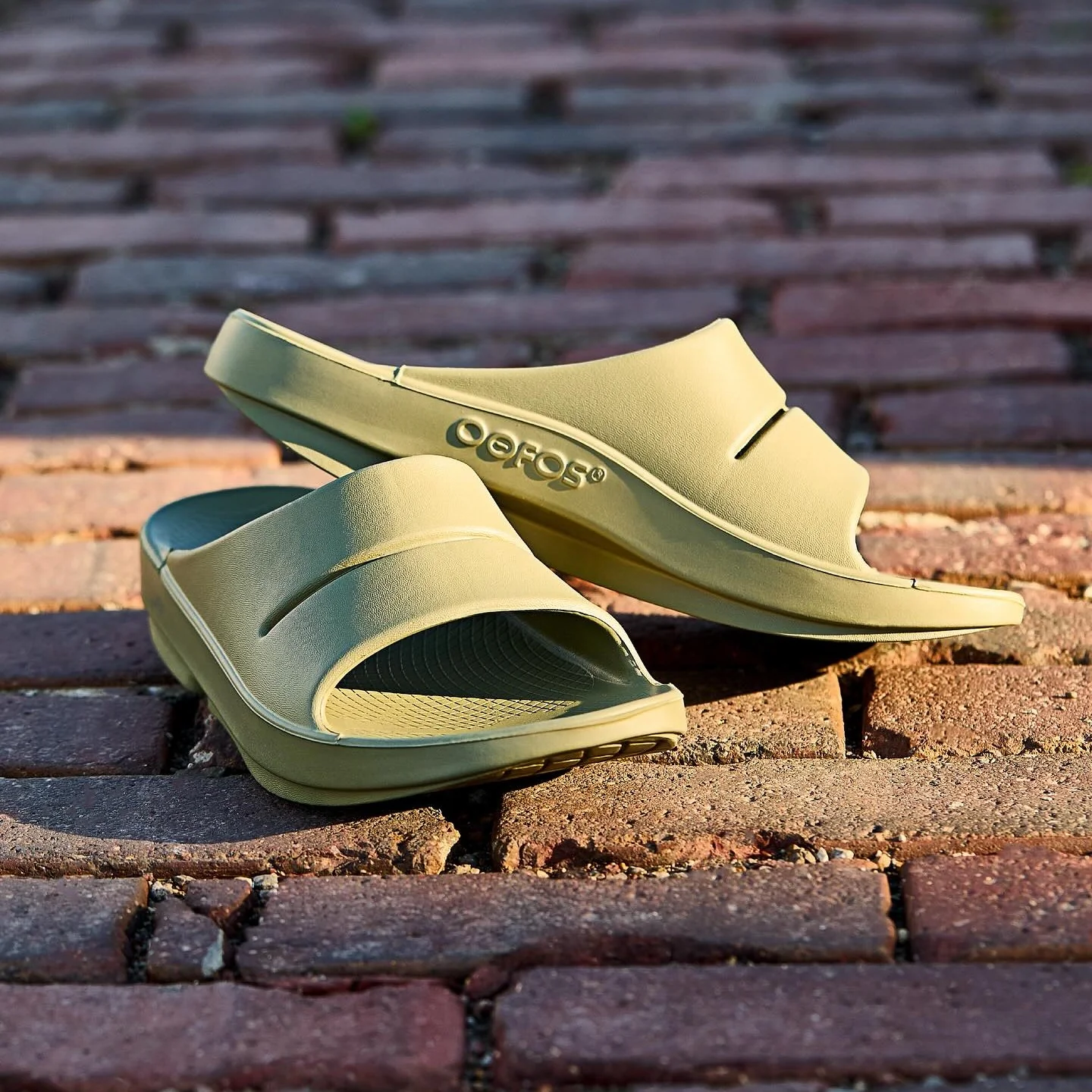 OOFOS OOahh Slide | Foliage - Ekiden Sports